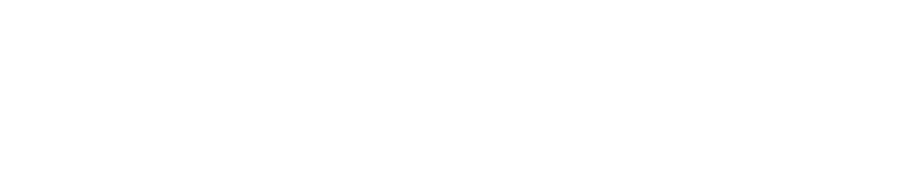 Partner logo 2-0